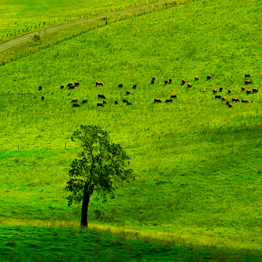 Farm land